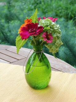 Achla Designs Teardrop Rooting Vase -Gardener's Supply Sales 8612530fg 01v