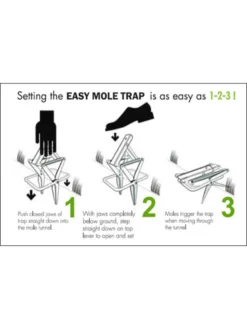 Easy Mole Trap -Gardener's Supply Sales 8612557 04v 1