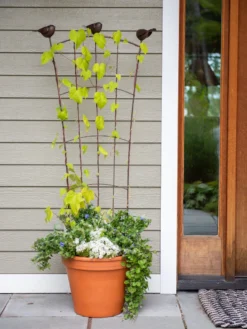 Flock Of Friends Pot Trellis