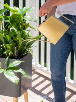 Precision Brass Watering Can -Gardener's Supply Sales 8612691 0011