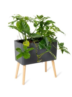 Ava Self-Watering Rectangular Planter 12 Ava Self-Watering Rectangular Planter -Gardener's Supply Sales 8612691 0013