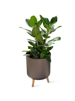 Ava Self-Watering Round Planter -Gardener's Supply Sales 8612692 0003