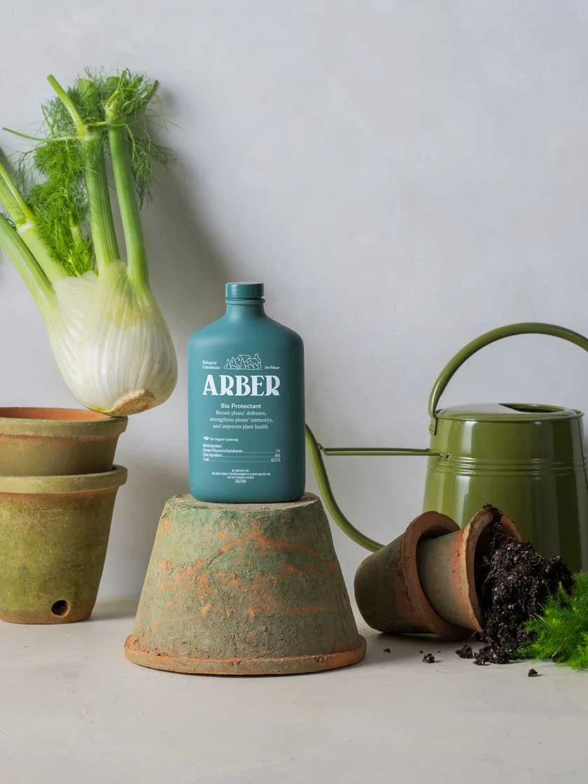 Organic Bio Protectant Outdoor 4 Organic Bio Protectant Outdoor - Image 4