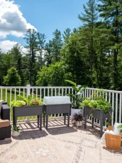 Self-Watering Standing Salad Planter With Cloche 11 Self-Watering Standing Salad Planter With Cloche -Gardener's Supply Sales 8612702 2002 tif