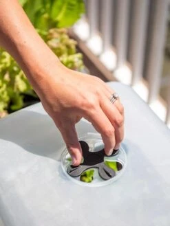 Self-Watering Standing Salad Planter With Cloche 9 Self-Watering Standing Salad Planter With Cloche -Gardener's Supply Sales 8612702 2034 tif