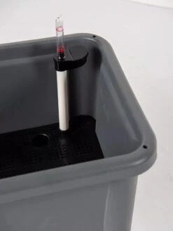 Self-Watering Standing Salad Planter With Cloche 12 Self-Watering Standing Salad Planter With Cloche -Gardener's Supply Sales 8612702 305 tif