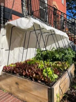 Cotton All Purpose Garden Cover -Gardener's Supply Sales 8612816 01CUST