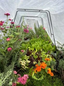 Zenith Garden Hoops, Set Of 4 -Gardener's Supply Sales 8612816 01TEST 1