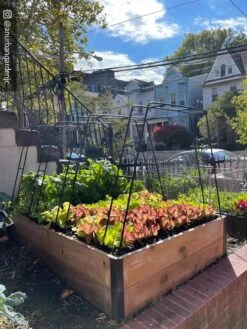 Zenith Garden Hoops, Set Of 4 -Gardener's Supply Sales 8612816 02CUST