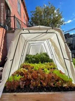 Cotton All Purpose Garden Cover -Gardener's Supply Sales 8612816 03CUST