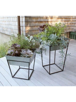 Achla Designs Arne Plant Stand