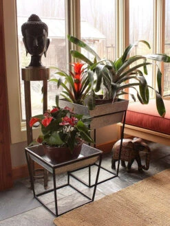 Achla Designs Arne Plant Stand -Gardener's Supply Sales 8612900 03v