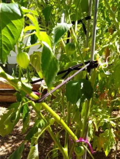 Farmyarn® Multipurpose Garden Tie, 2 Pack -Gardener's Supply Sales 8612948 02v