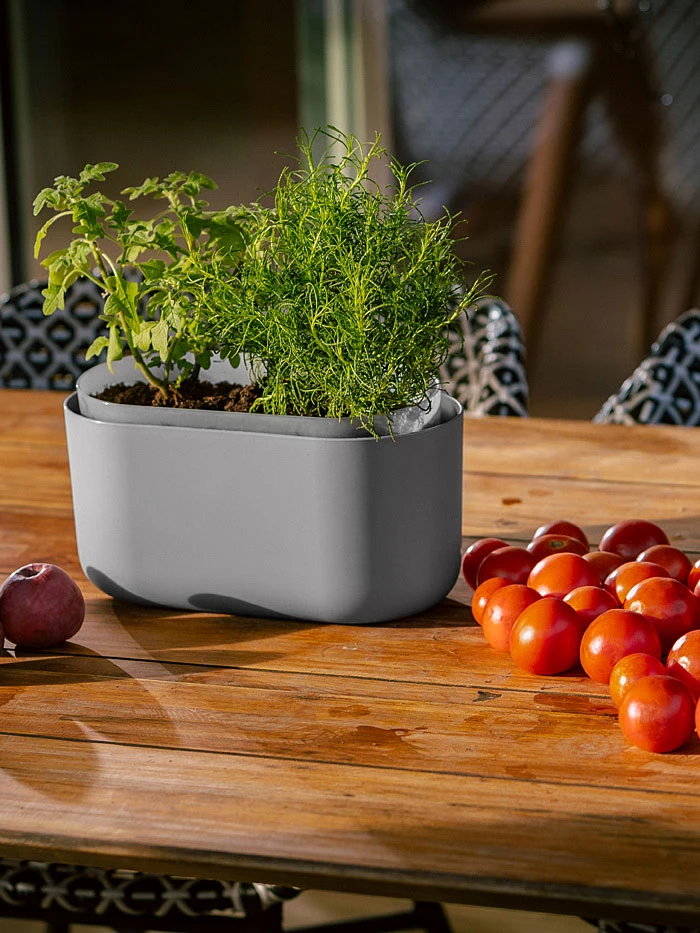 Tolita Recycled Self-Watering Flower Box 1 Tolita Recycled Self-Watering Flower Box