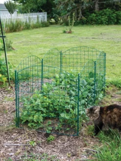 6 Panel Critter Fence With Gate -Gardener's Supply Sales 8612967 2570 tif