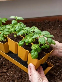 Gardener's Best® XL 6-Cell Planting Tray, Set Of 4 -Gardener's Supply Sales 8613031 6300