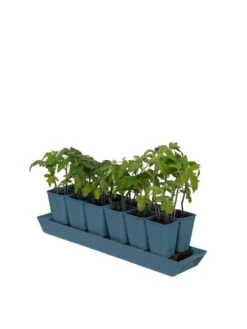 Gardener's Best® XL Seed Starting Kit -Gardener's Supply Sales 8613066 0029