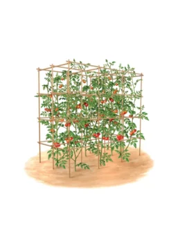 Tomato Six Pack Support 15 Tomato Six Pack Support -Gardener's Supply Sales 8613143 art flat