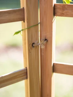 Bamboo Zig-Zag Trellis 24" X 36" -Gardener's Supply Sales 8613151 6483