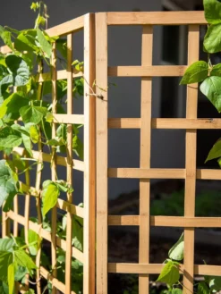 Bamboo Zig-Zag Trellis 24" X 36" -Gardener's Supply Sales 8613151 6491