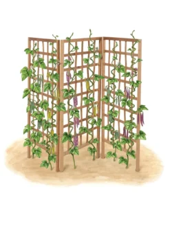 Bamboo Zig-Zag Trellis 24" X 36" -Gardener's Supply Sales 8613151 art flat