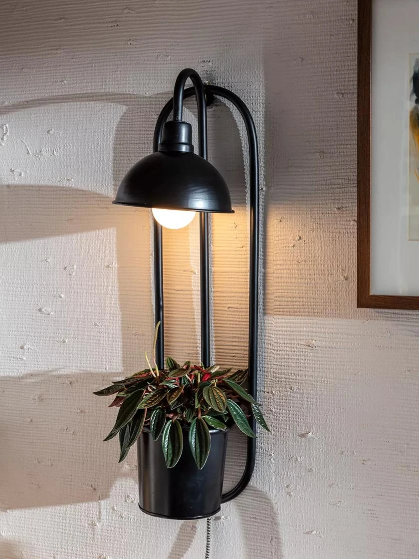 Kira Grow Light Hanging Planter 1 Kira Grow Light Hanging Planter