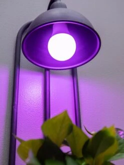 Kira Grow Light Hanging Planter 8 Kira Grow Light Hanging Planter -Gardener's Supply Sales 8613232 5663