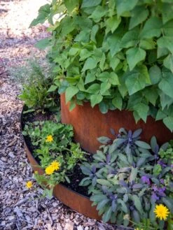 Birdies™ Corten Steel Tiered Round Raised Bed Kit, Tall -Gardener's Supply Sales 8613245 0195