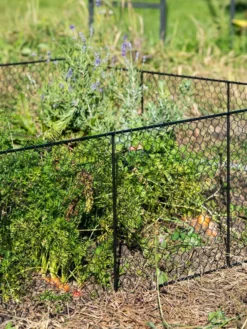 Chicken Wire Critter Fence, 16" High 14 Chicken Wire Critter Fence, 16" High -Gardener's Supply Sales 8613249 0352