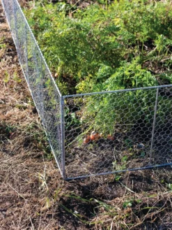 Chicken Wire Critter Fence, 16" High 15 Chicken Wire Critter Fence, 16" High -Gardener's Supply Sales 8613249 0358
