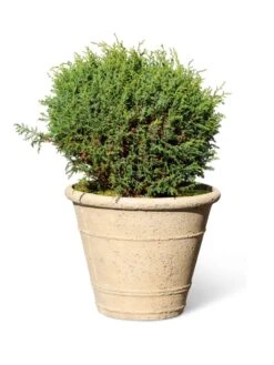 Self-Watering LavaStone® Anson Pot 12 Self-Watering LavaStone® Anson Pot -Gardener's Supply Sales 8613255 0150
