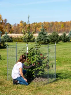 Tall Chicken Wire Critter Fence With Gate -Gardener's Supply Sales 8613260 0044