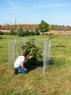 Tall Chicken Wire Critter Fence Extension Panel, Set Of 2 18 Tall Chicken Wire Critter Fence Extension Panel, Set Of 2 -Gardener's Supply Sales 8613260 0090