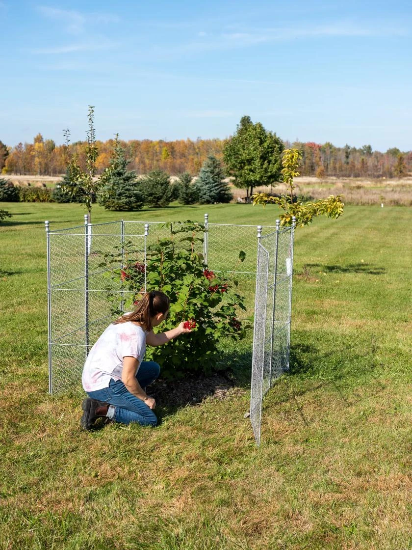 Tall Chicken Wire Critter Fence Extension Panel, Set Of 2 5 Tall Chicken Wire Critter Fence Extension Panel, Set Of 2 - Image 5