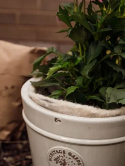 Hortiwool ®, 5 Pad Pack -Gardener's Supply Sales 8613263 17v