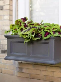Fairfield Self-Watering Window Box, 2’ -Gardener's Supply Sales 8613268 08V tif