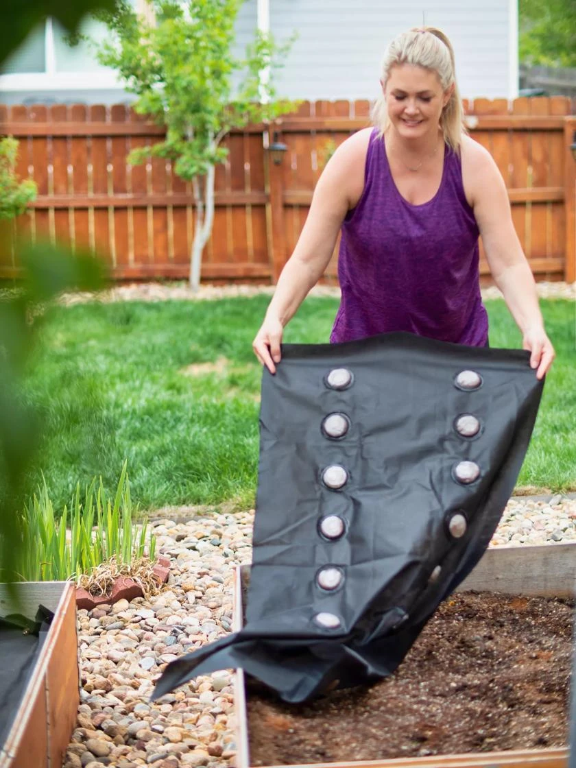 SeedSheets Organic Vegetable Garden, Easy Breezy Caprese, 4' X 8' 5 SeedSheets Organic Vegetable Garden, Easy Breezy Caprese, 4' X 8' - Image 5