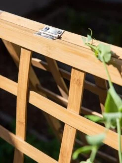 Bambo A Frame Plant Support, 30" X 42.5" 13 Bambo A Frame Plant Support, 30" X 42.5" -Gardener's Supply Sales 8613310 6525