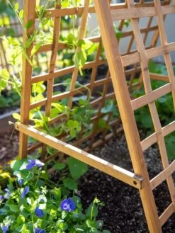 Bambo A Frame Plant Support, 30" X 42.5" 11 Bambo A Frame Plant Support, 30" X 42.5" -Gardener's Supply Sales 8613310 6556