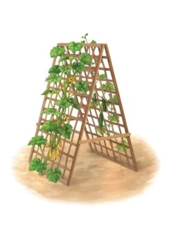 Bambo A Frame Plant Support, 30" X 42.5" 14 Bambo A Frame Plant Support, 30" X 42.5" -Gardener's Supply Sales 8613310 art flat