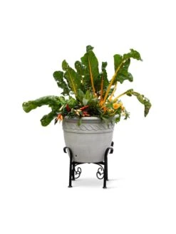 Covington Adjustable Plant Stands 18 Covington Adjustable Plant Stands -Gardener's Supply Sales 8613347 0119