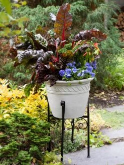 Covington Adjustable Plant Stands 15 Covington Adjustable Plant Stands -Gardener's Supply Sales 8613348 0114