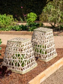 Bamboo Cloche, Set Of 2 -Gardener's Supply Sales 8613351 0150 bamboo cloche set of 2