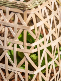 Bamboo Cloche, Set Of 2 -Gardener's Supply Sales 8613351 0153