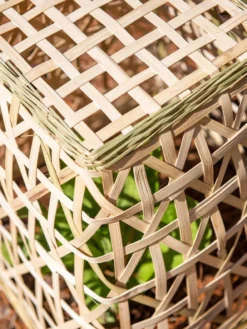 Bamboo Cloche, Set Of 2 -Gardener's Supply Sales 8613351 0154