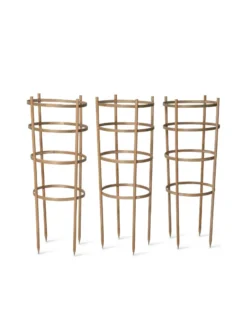 Bamboo Tomato Cages, Set Of 3 -Gardener's Supply Sales 8613426 4679 bamboo tomato cages 3