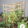 Bamboo Tomato Cages, Set Of 3