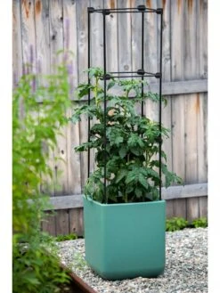 Oasis Self-Watering Tomato Planter With Trellis -Gardener's Supply Sales 8613440 0373 3 4