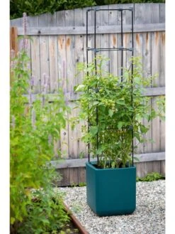 Oasis Self-Watering Tomato Planter With Trellis -Gardener's Supply Sales 8613440 0376 3 4 2