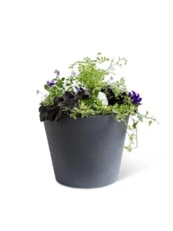 Self-Watering FiberStone Planters -Gardener's Supply Sales 8613676 8645